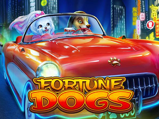 Fortune Dogs